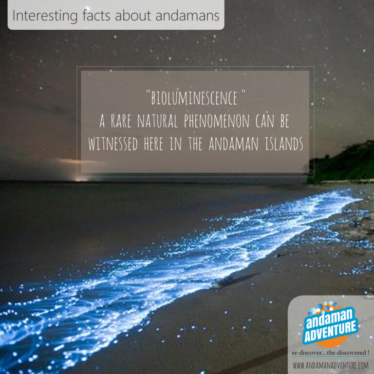 2 boiluminescence