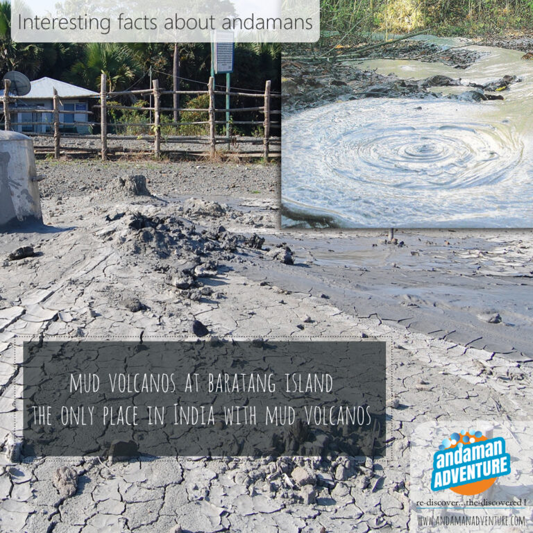 4 mud volcanos