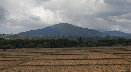 saddlepeak
